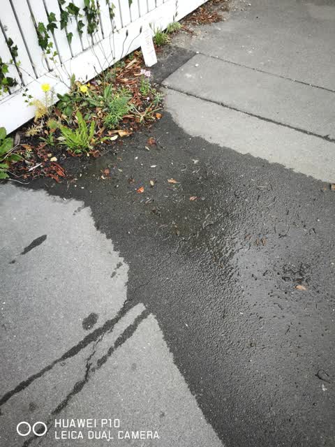 Water Leak, a report photo