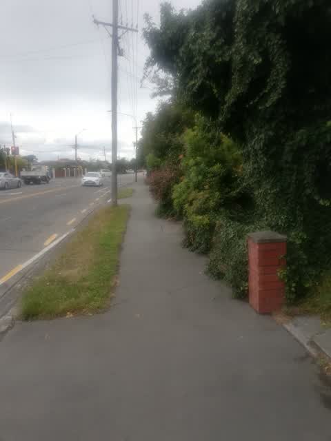 Street Light Outage, a report photo