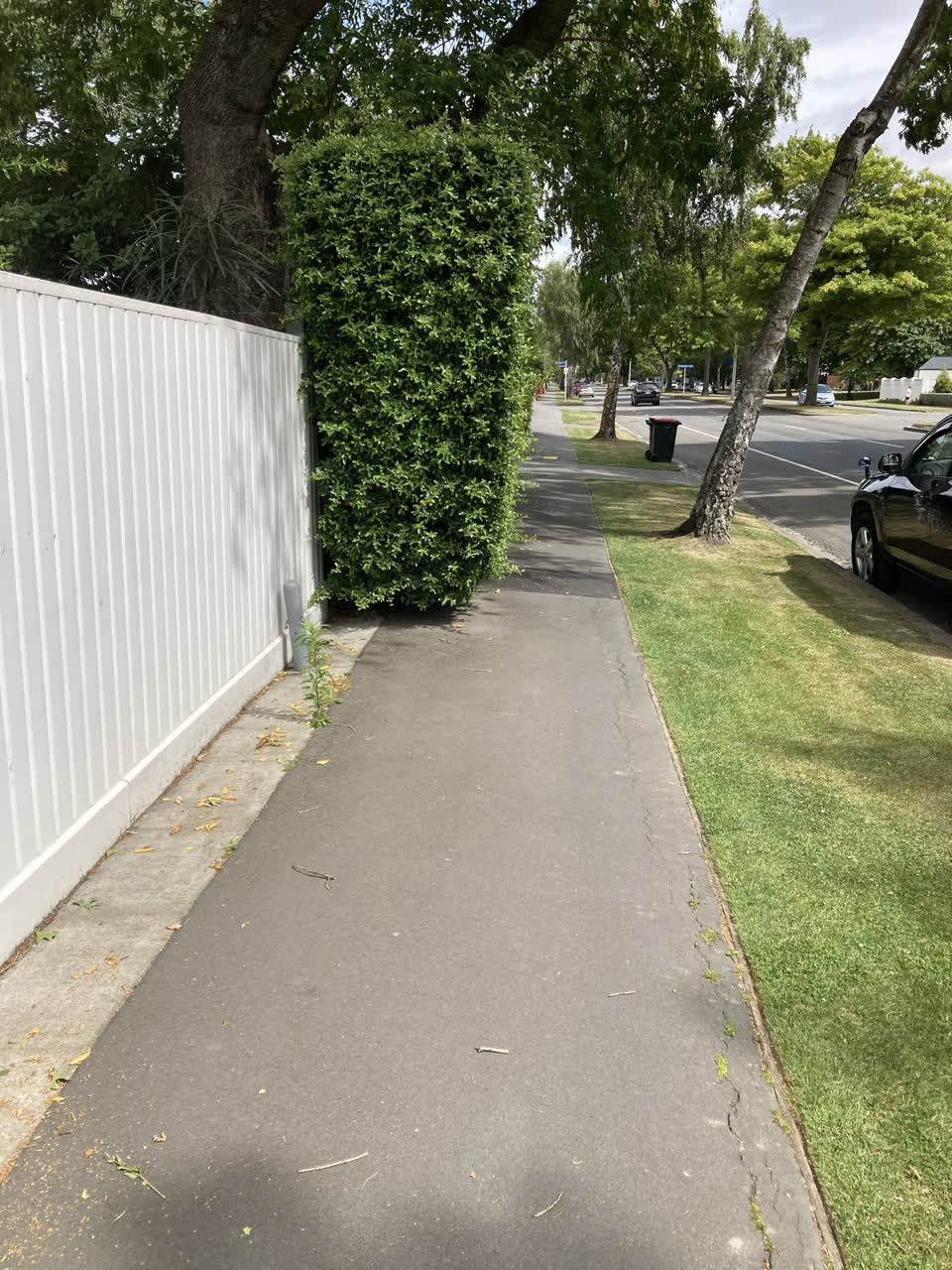 The photograph attached to this street light outage report