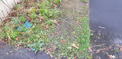 Water Leak, a report photo