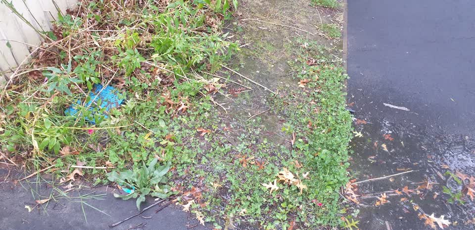 The photograph attached to this water leak report