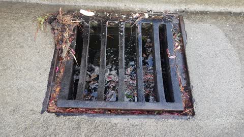 Wastewater/Stormwater, a report photo