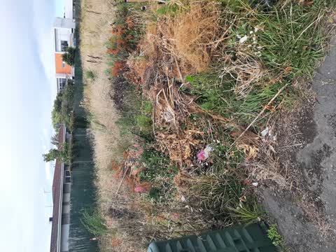 Rubbish/Recycling, a report photo