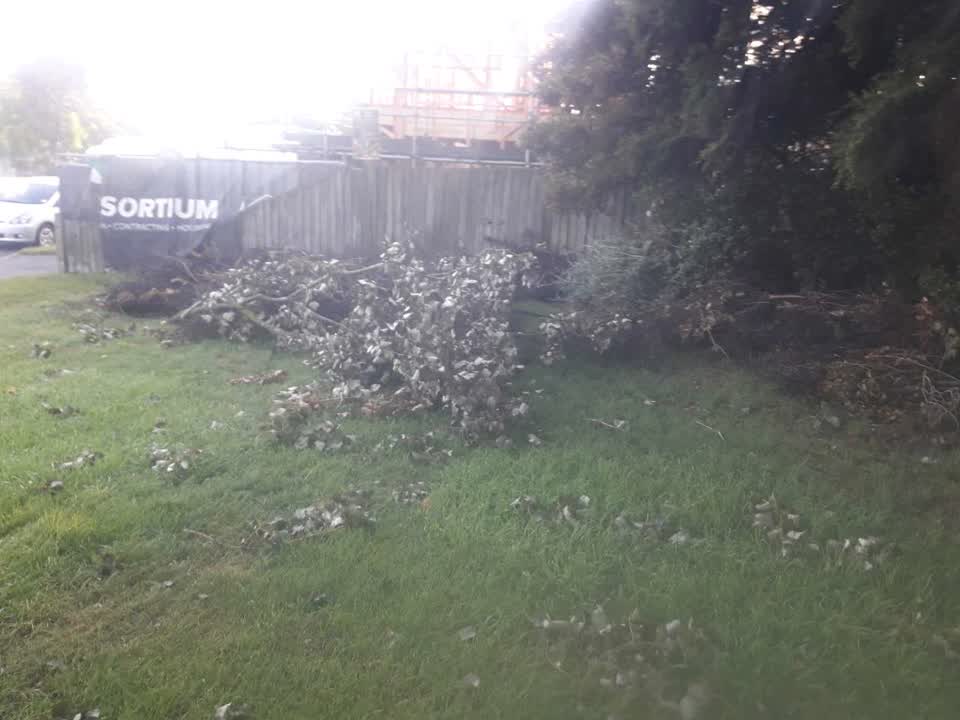 The photograph attached to this parks report
