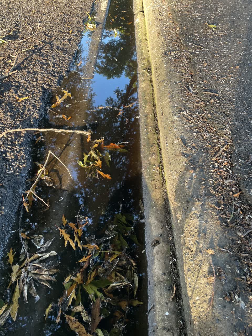 The photograph attached to this wastewater/stormwater report