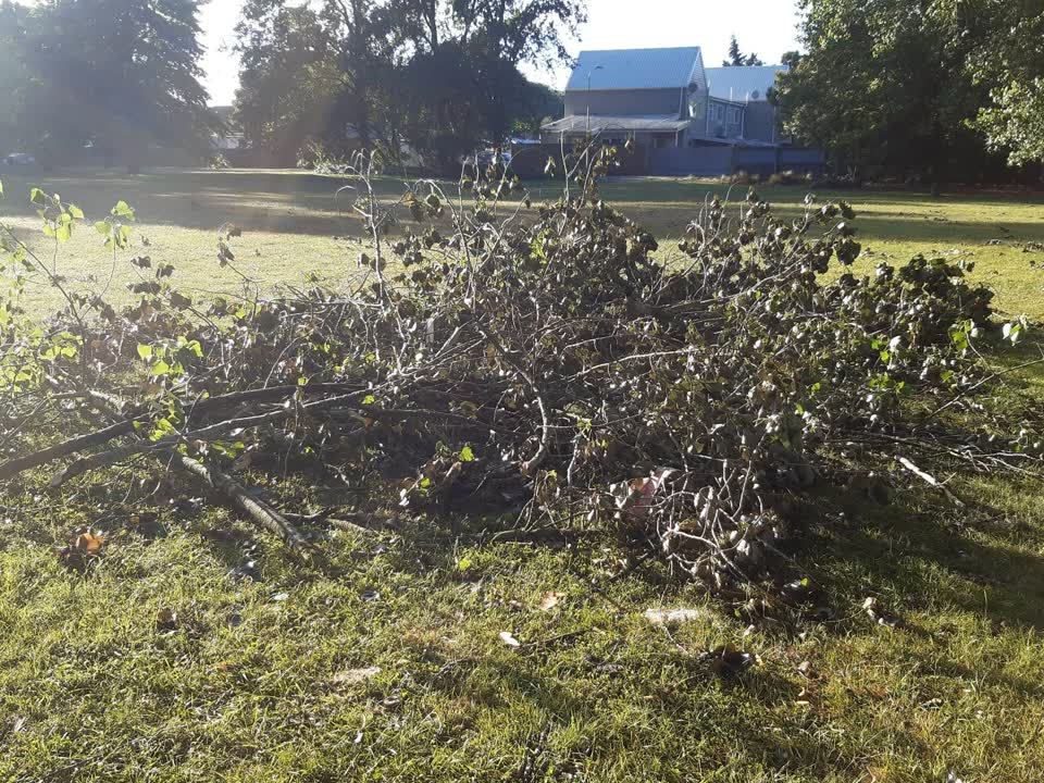 The photograph attached to this parks report