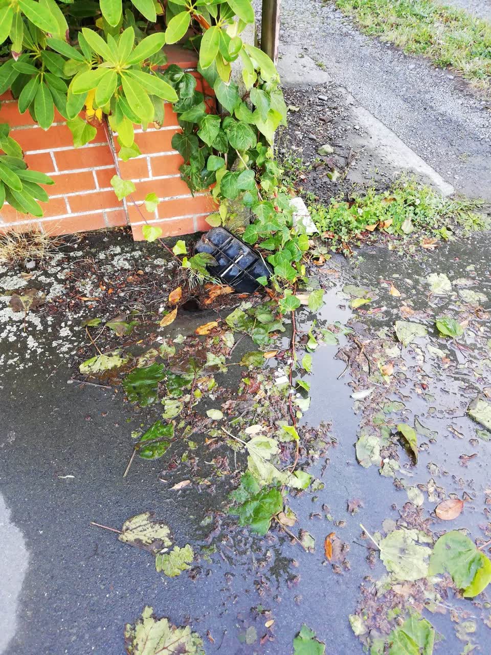 The photograph attached to this water supply report