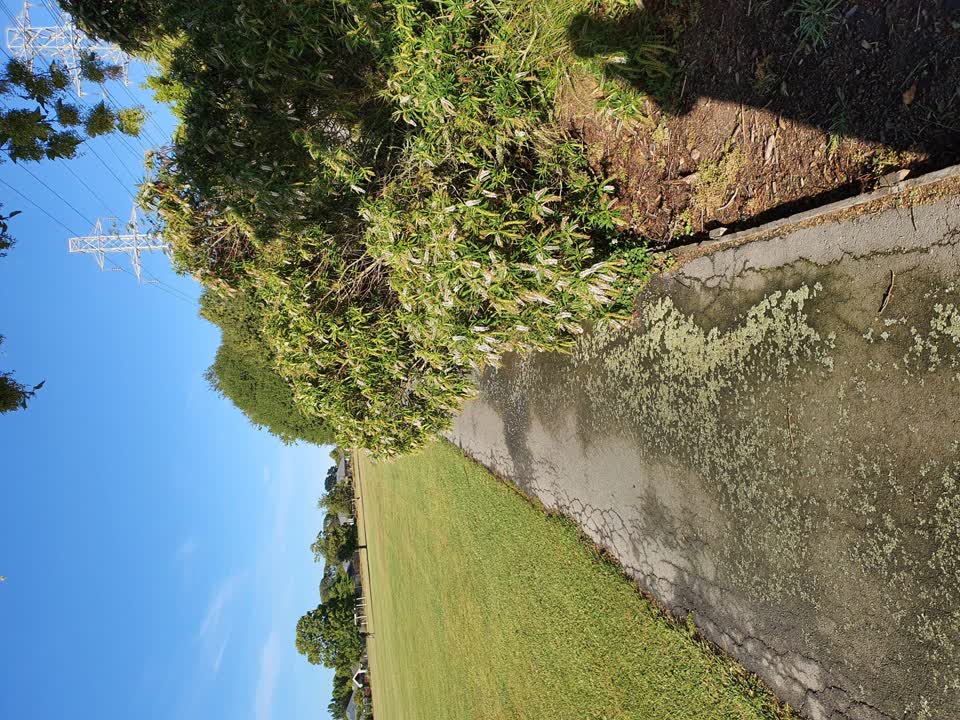 The photograph attached to this parks report