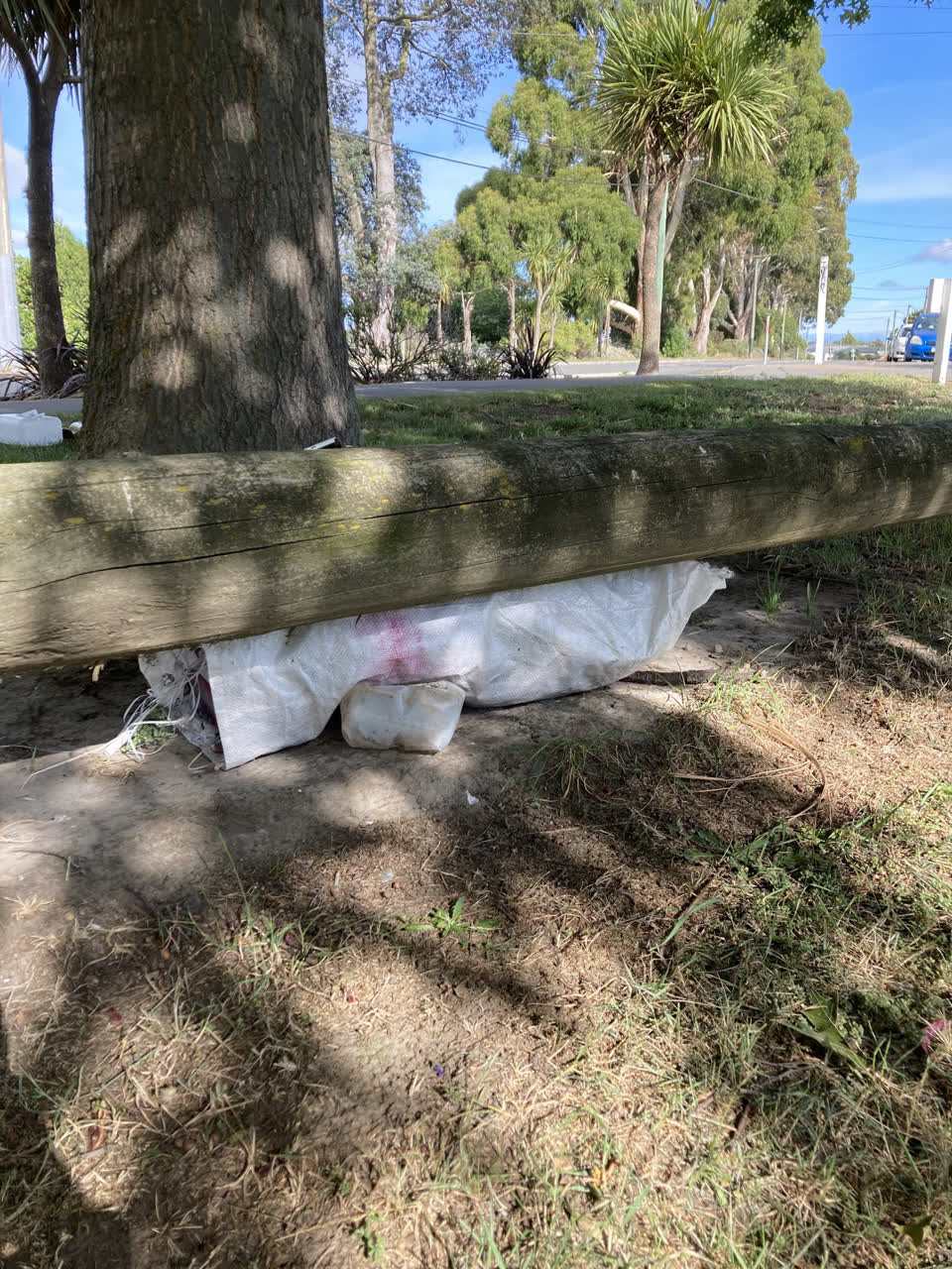 The photograph attached to this parks report