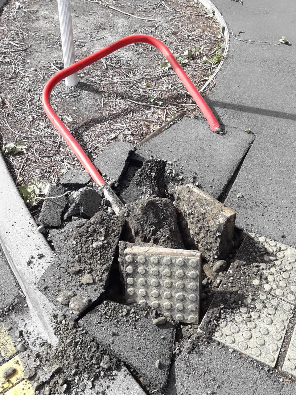 The photograph attached to this parks report