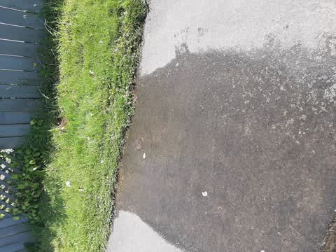 Water Leak, a report photo