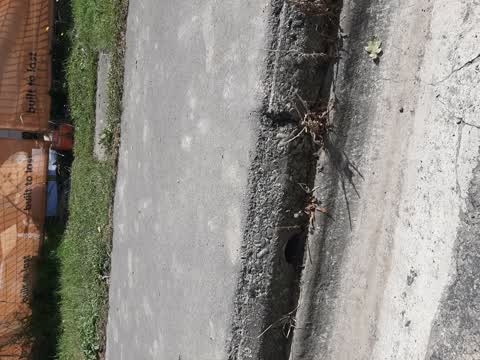 Roading/Streets, a report photo