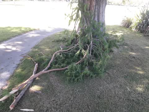 Parks, a report photo