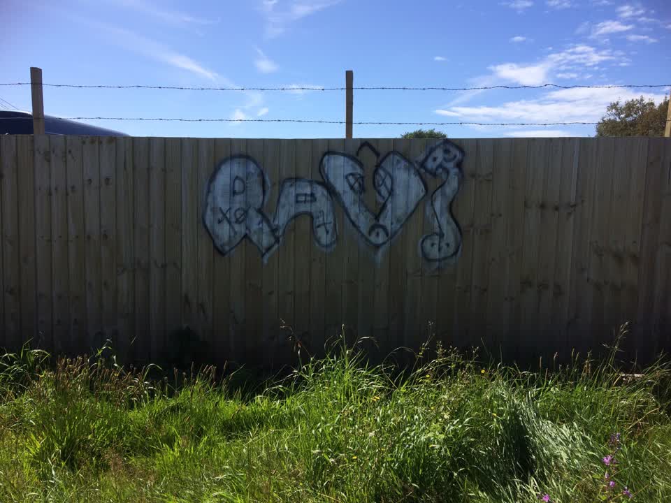 The photograph attached to this graffiti report