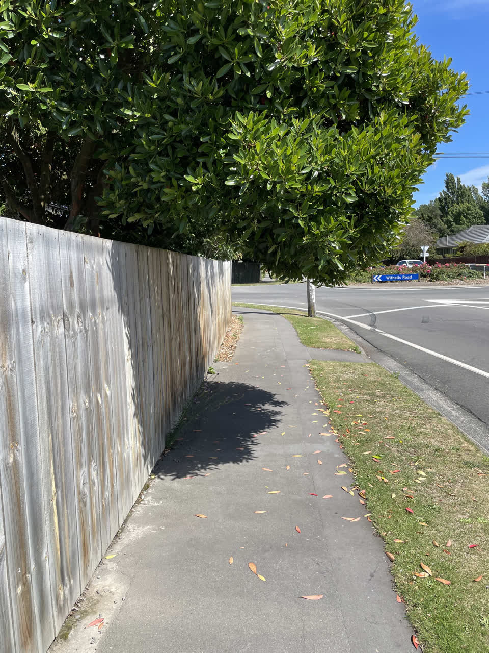 The photograph attached to this street light outage report