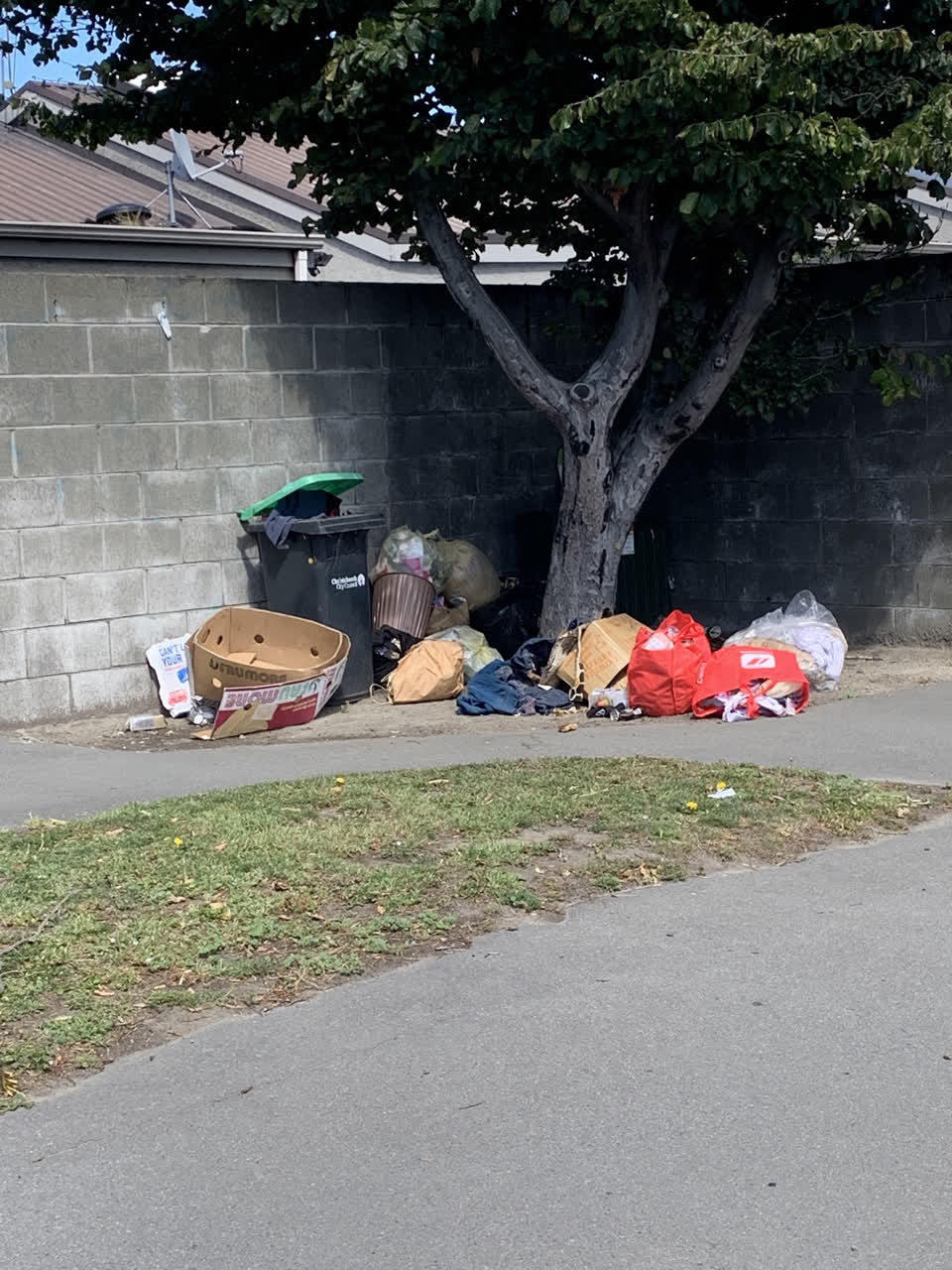 The photograph attached to this rubbish/recycling report