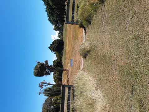 Parks, a report photo