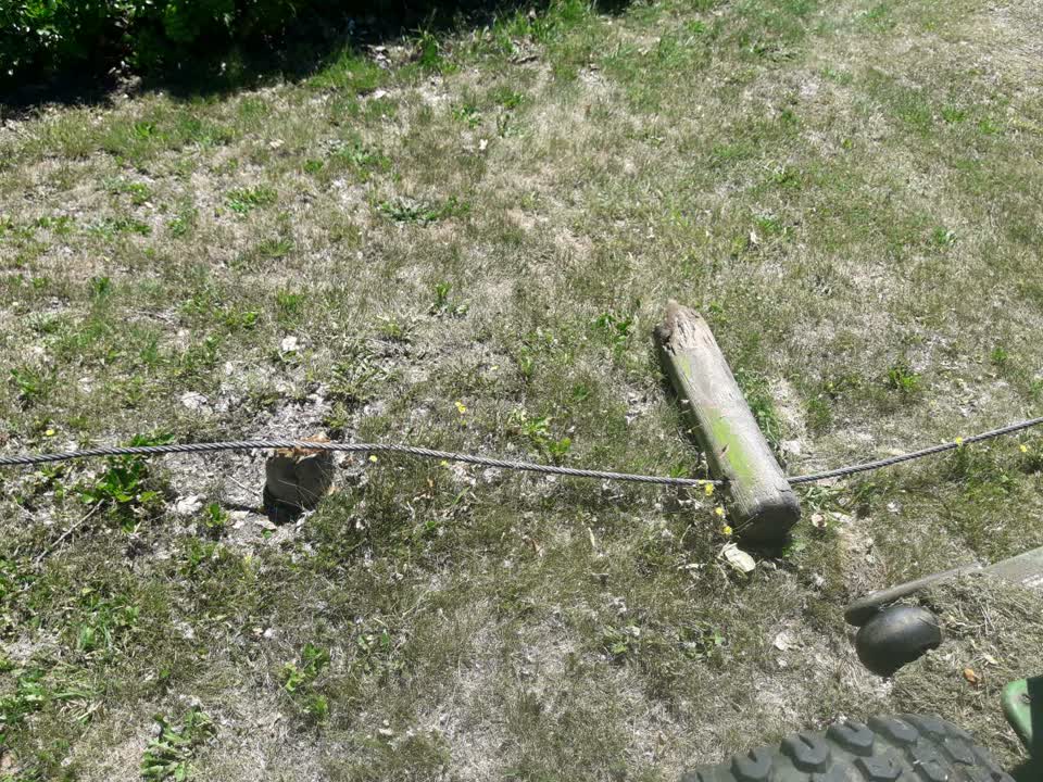 The photograph attached to this parks report