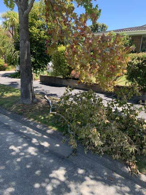 Roading/Streets, a report photo