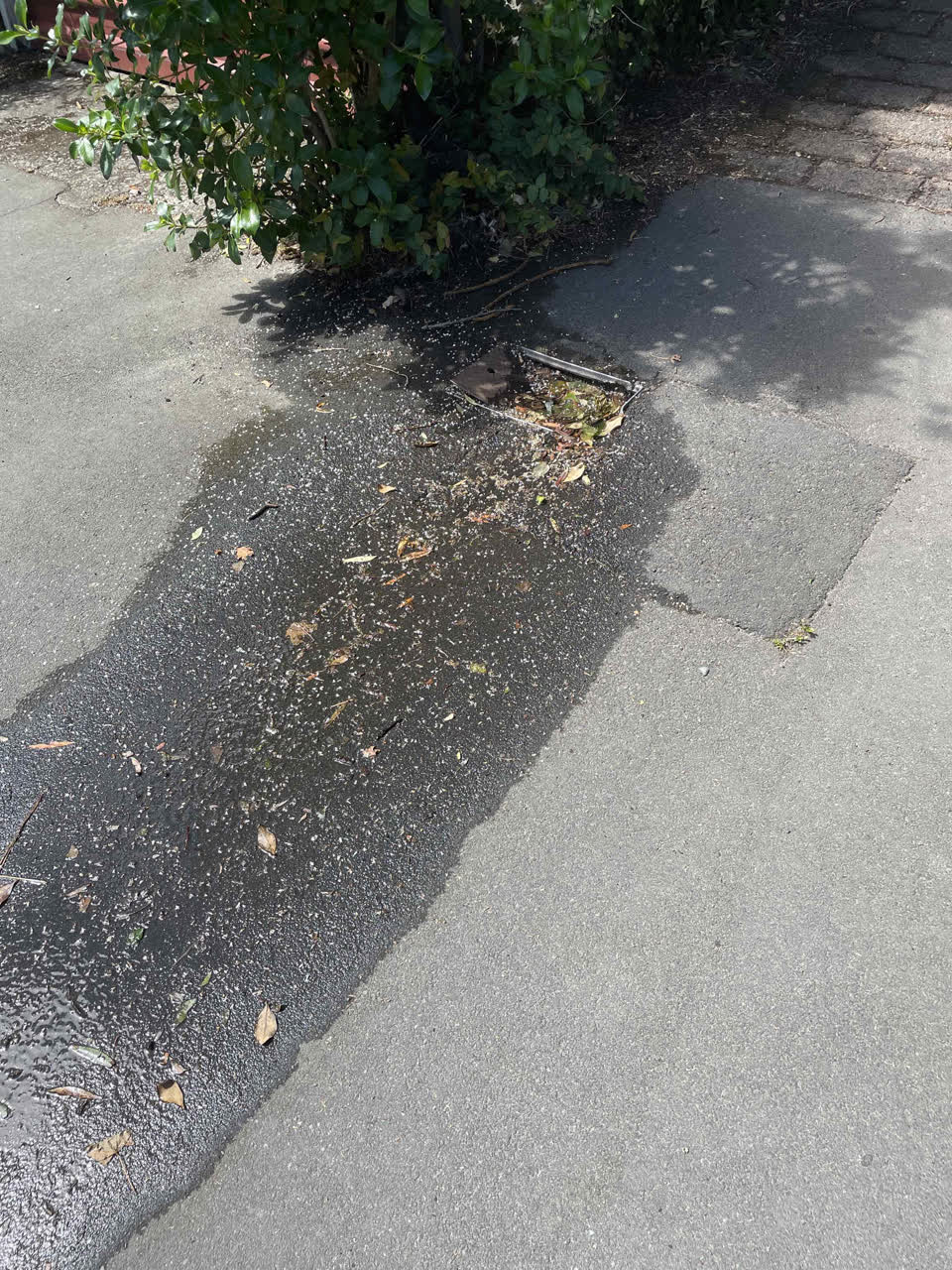 The photograph attached to this water leak report