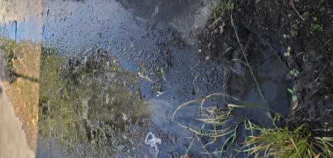Water Leak, a report photo