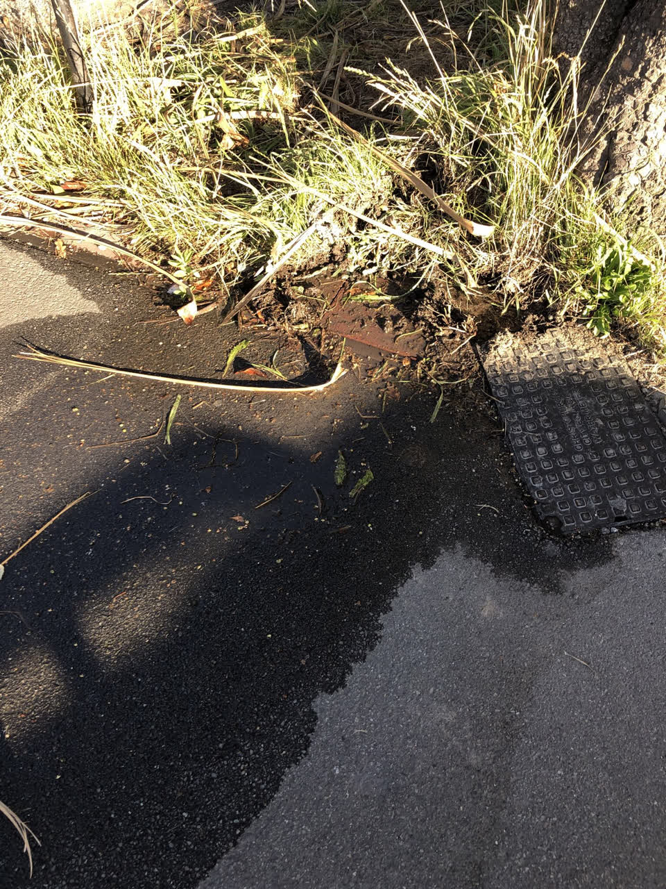 The photograph attached to this wastewater/stormwater report