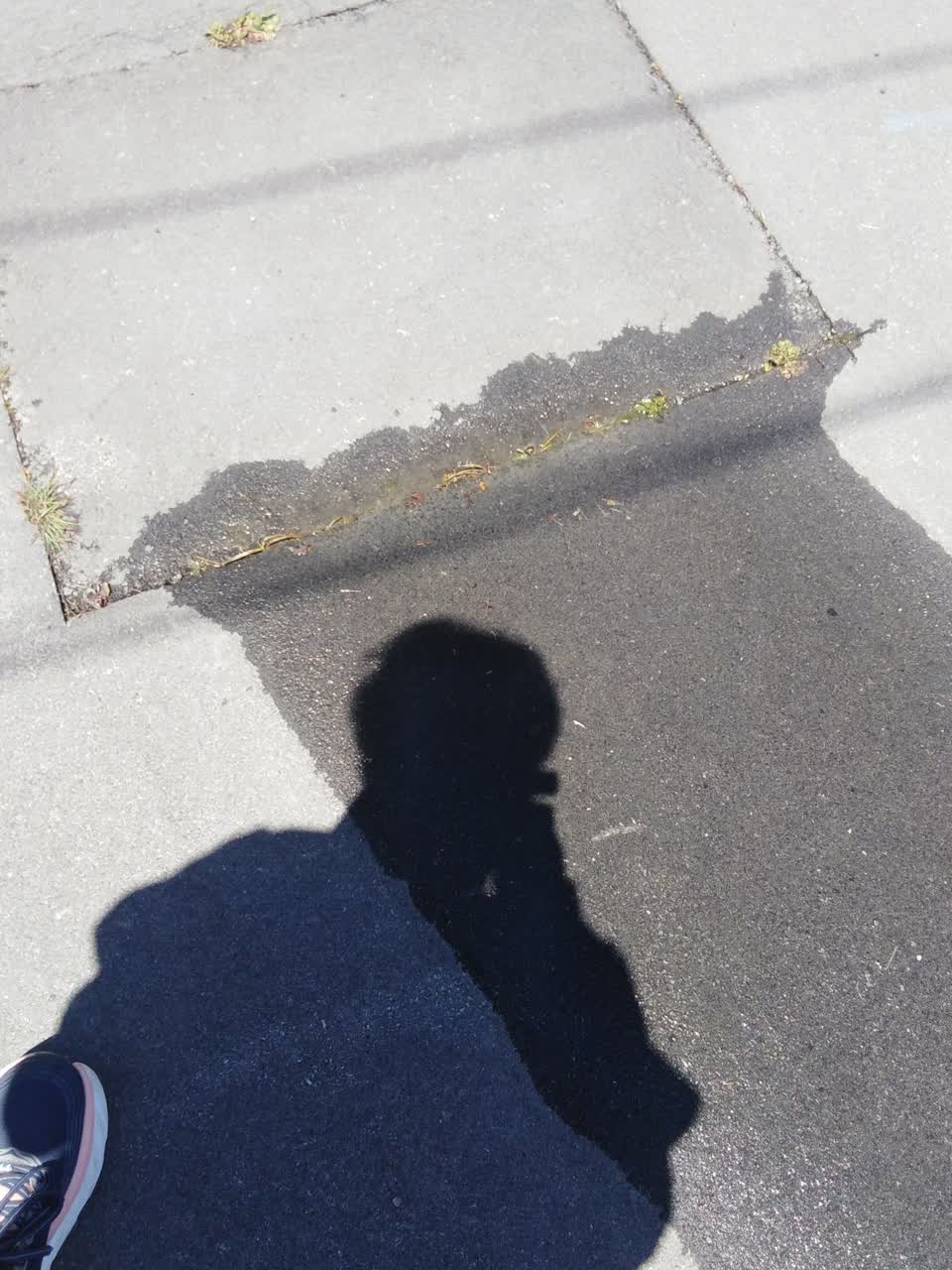 The photograph attached to this water leak report