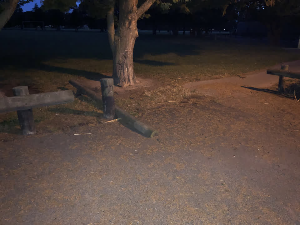 The photograph attached to this parks report