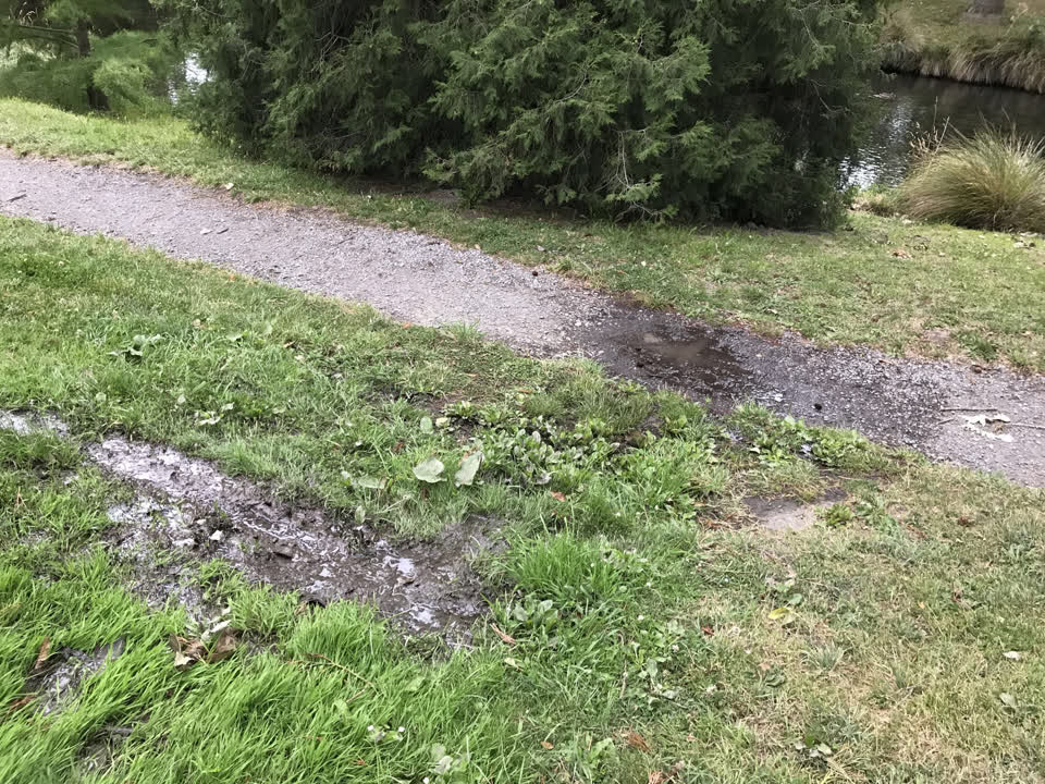 The photograph attached to this water leak report