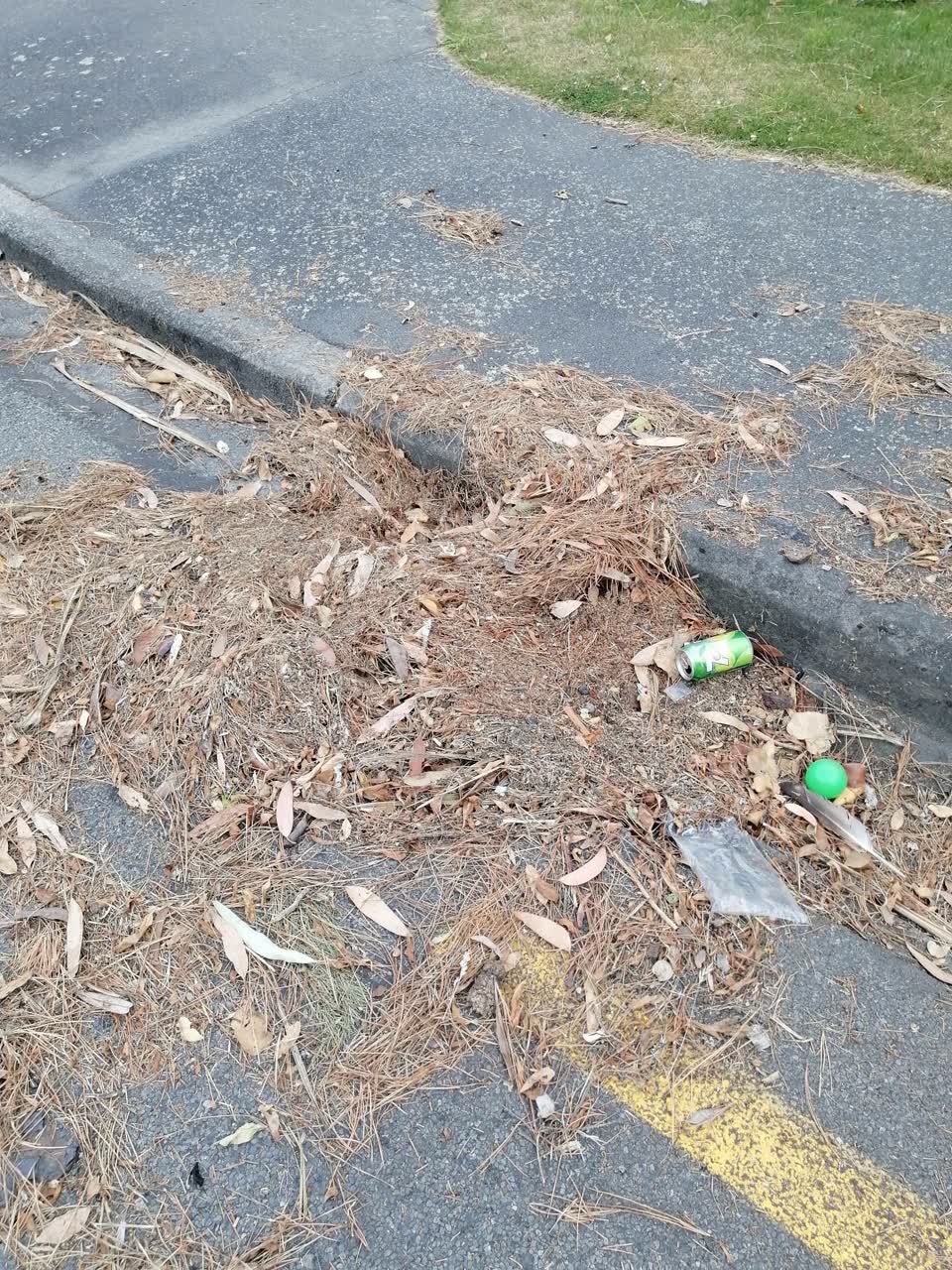 The photograph attached to this flooding report