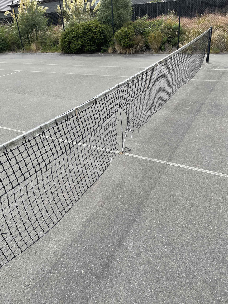 The photograph attached to this parks report