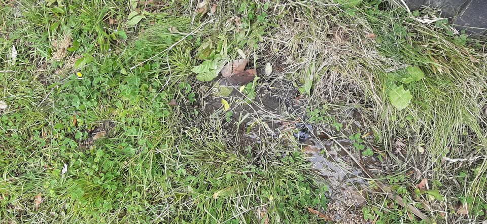 The photograph attached to this water leak report