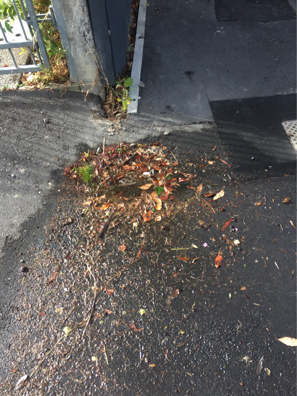 The photograph attached to this water leak report