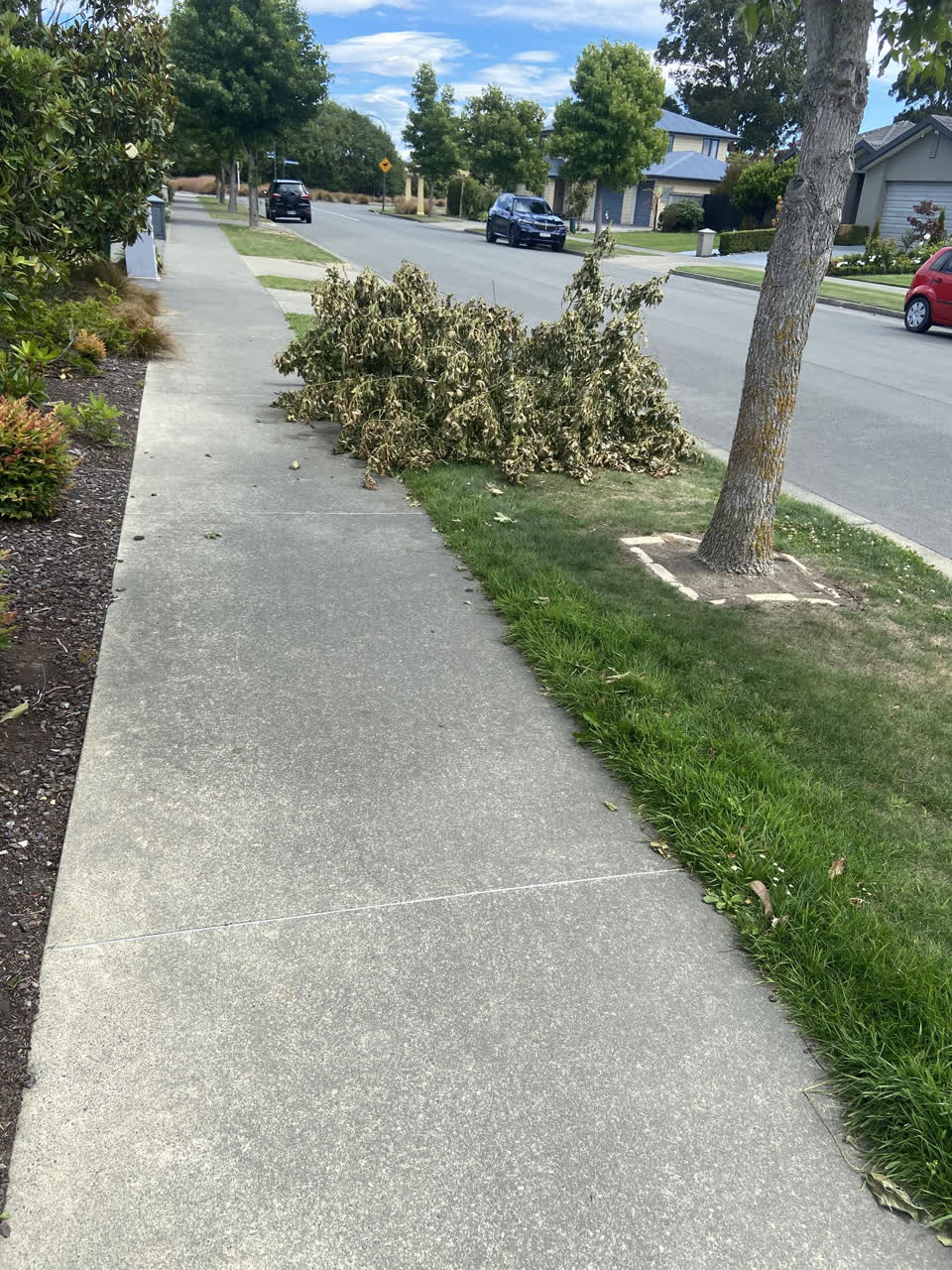 The photograph attached to this street light outage report