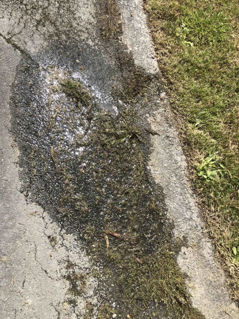 Water Leak, a report photo