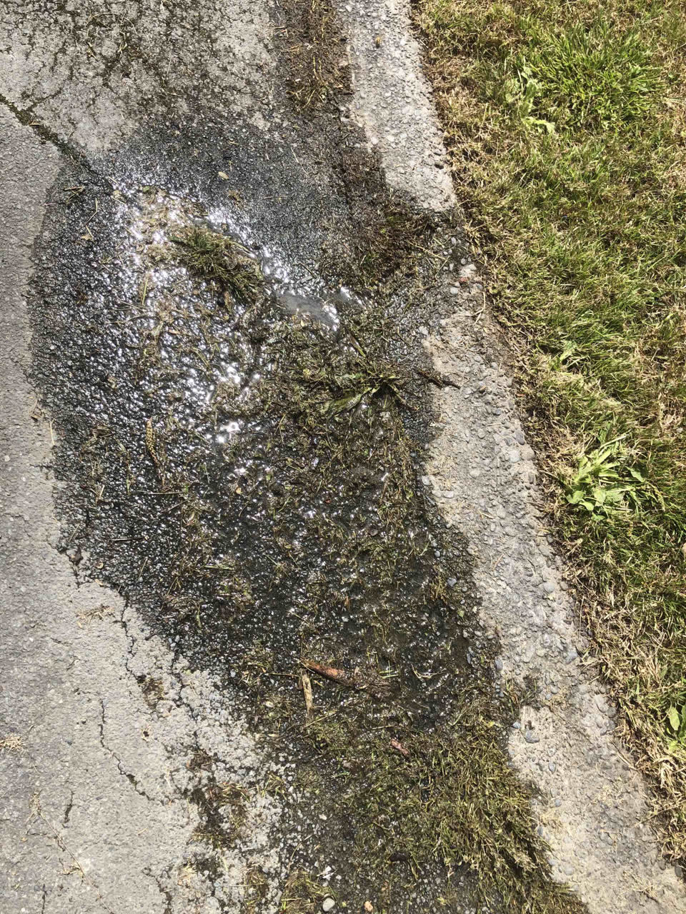 The photograph attached to this water leak report
