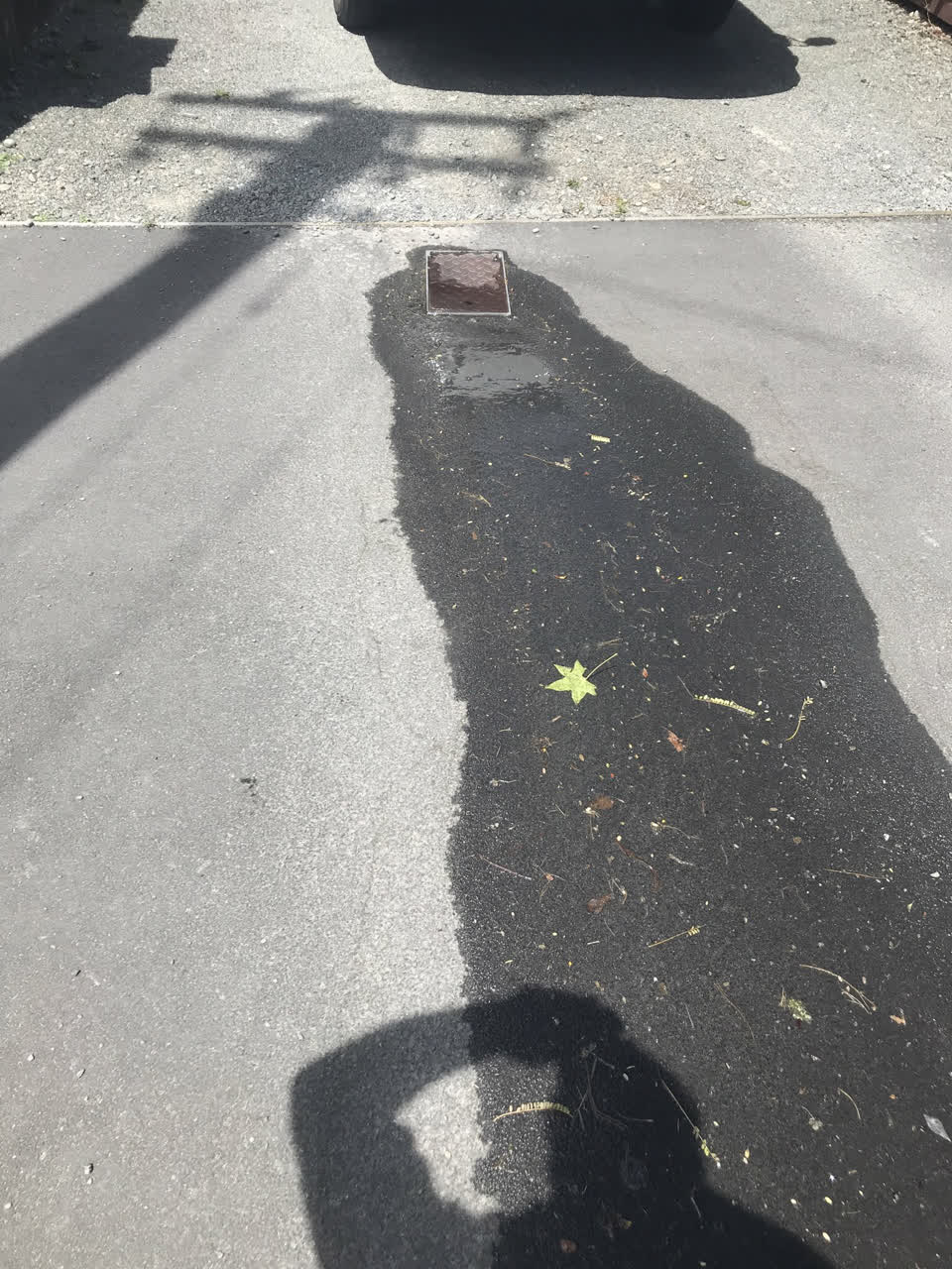 The photograph attached to this water leak report