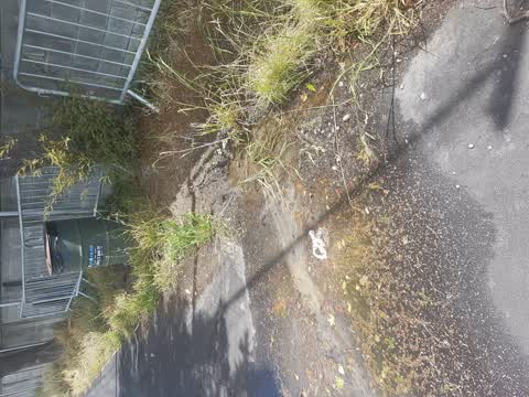 Water Leak, a report photo