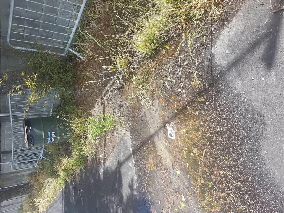 The photograph attached to this water leak report