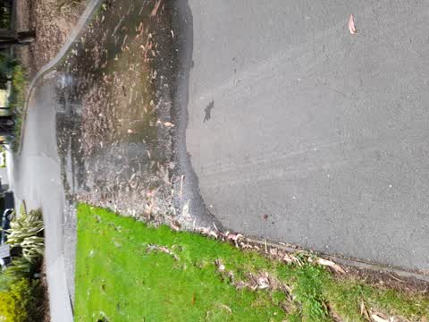 Water Leak, a report photo