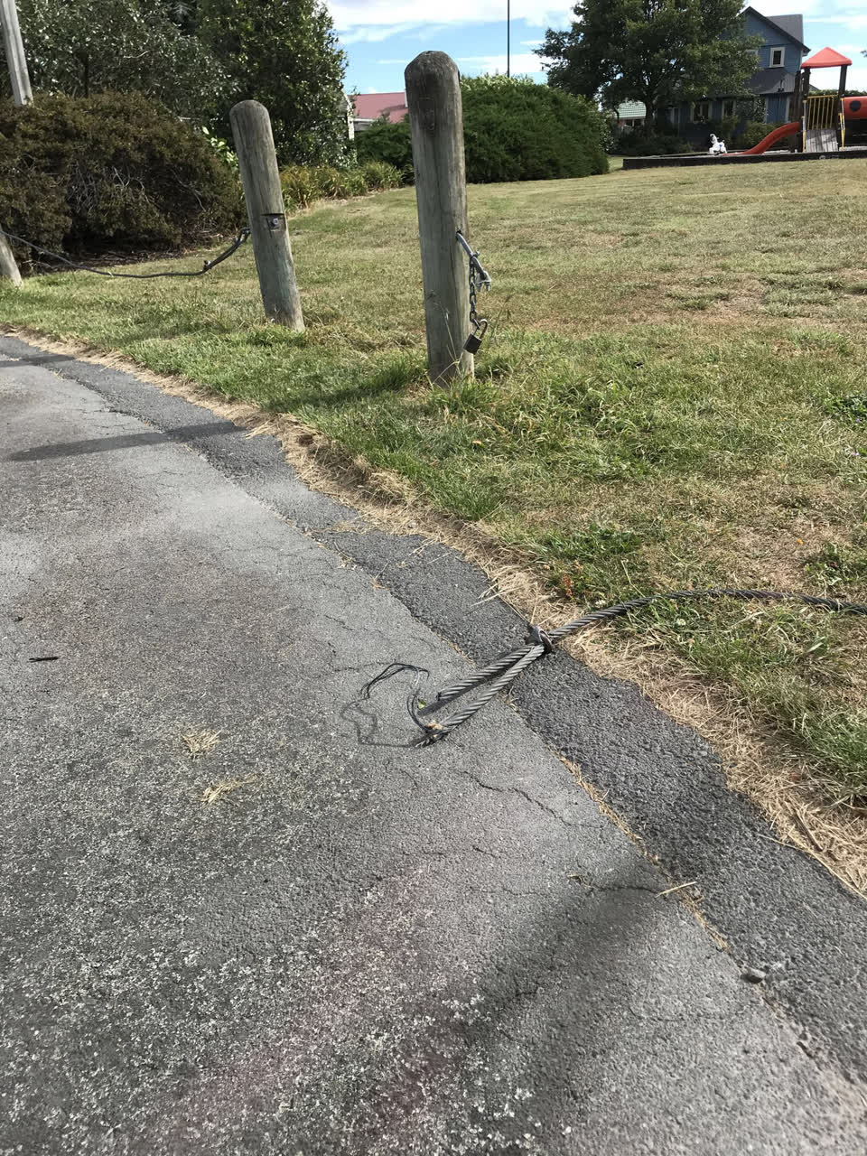 The photograph attached to this parks report
