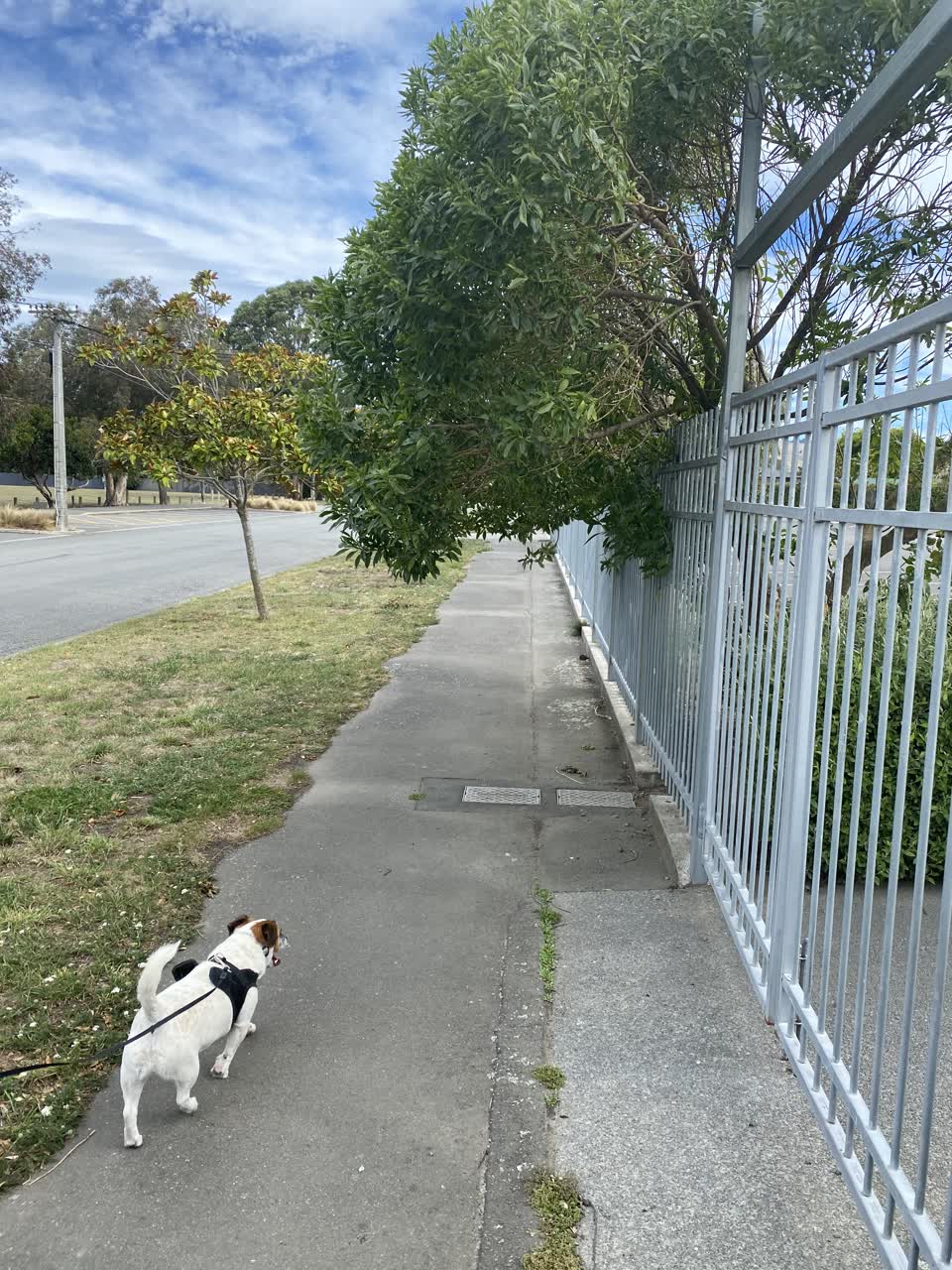 The photograph attached to this parks report
