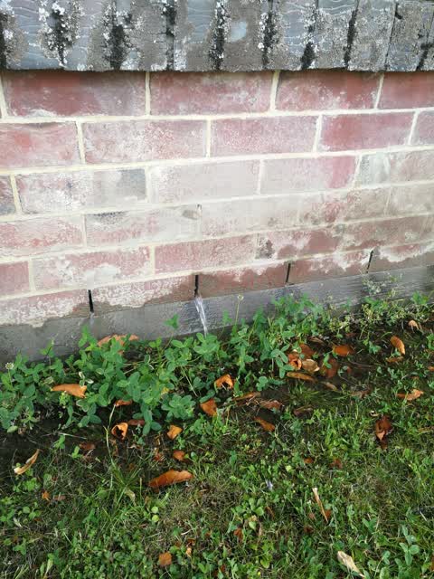 Water Leak, a report photo
