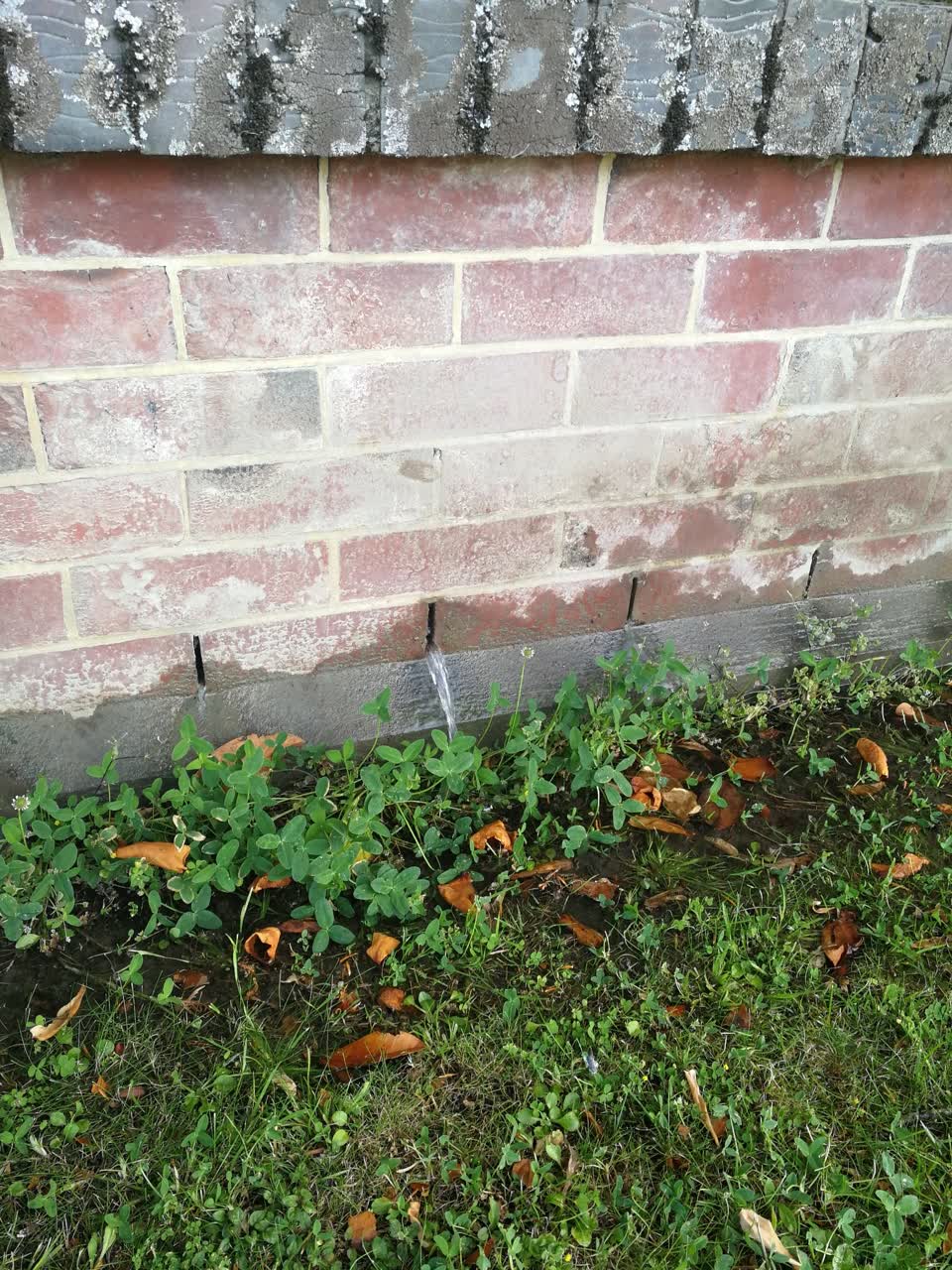 The photograph attached to this water leak report