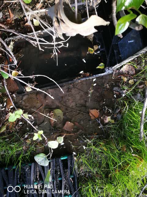 Water Leak, a report photo