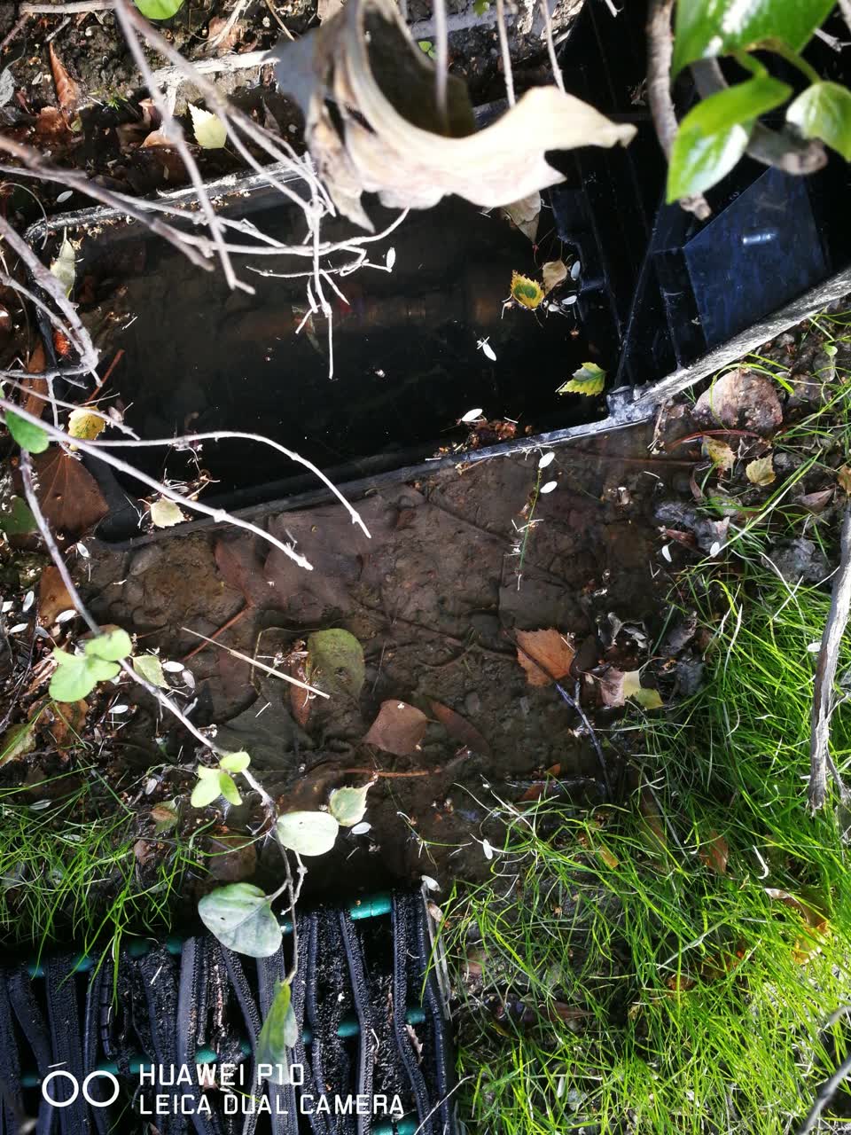 The photograph attached to this water leak report