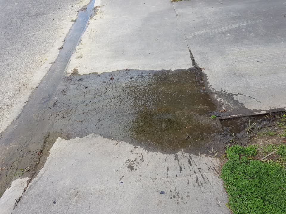 The photograph attached to this water leak report