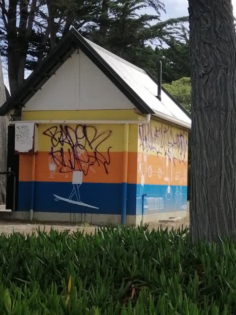 Graffiti, a report photo