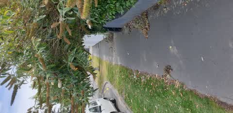 Roading/Streets, a report photo