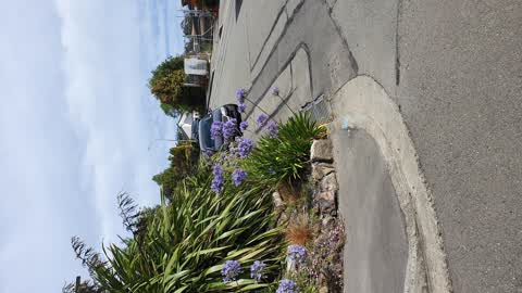 Roading/Streets, a report photo